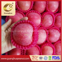 Wholesale High Sugar Crisp Red FUJI Apple From Shandong